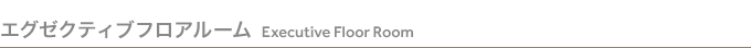 GO[NeButA[ Excecutive Floor Room
